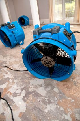 Commercial-drying-fans-in-house-living-room