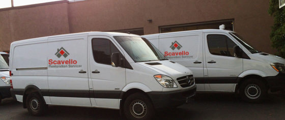 Scavello vans