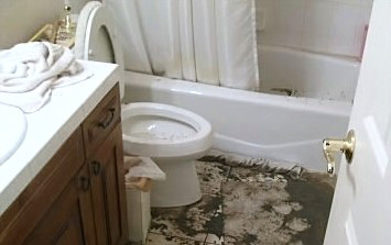 Toilet overflow - sewage