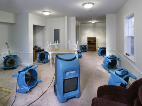 fans & dehumidifiers removing water damage